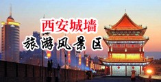 美女裸身挨操网站中国陕西-西安城墙旅游风景区